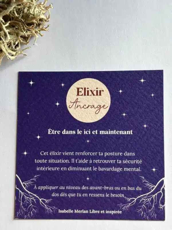 Se relier à la Terre et revenir à soi avec force et stabilité